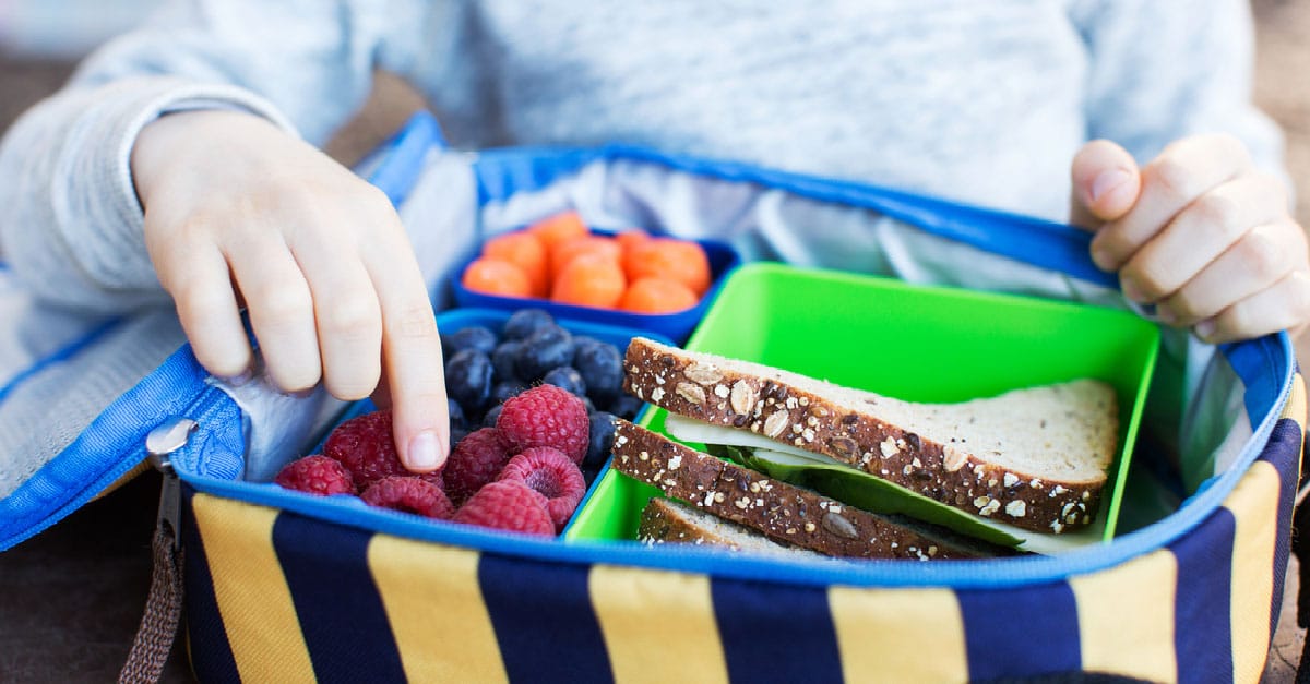 Healthy & Fun Lunch Ideas for Kids