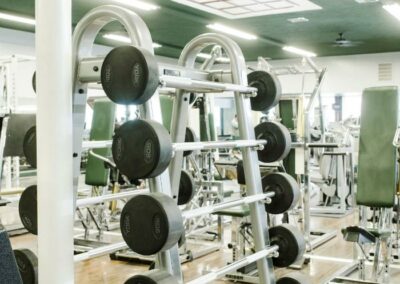 Weights for working out in gym